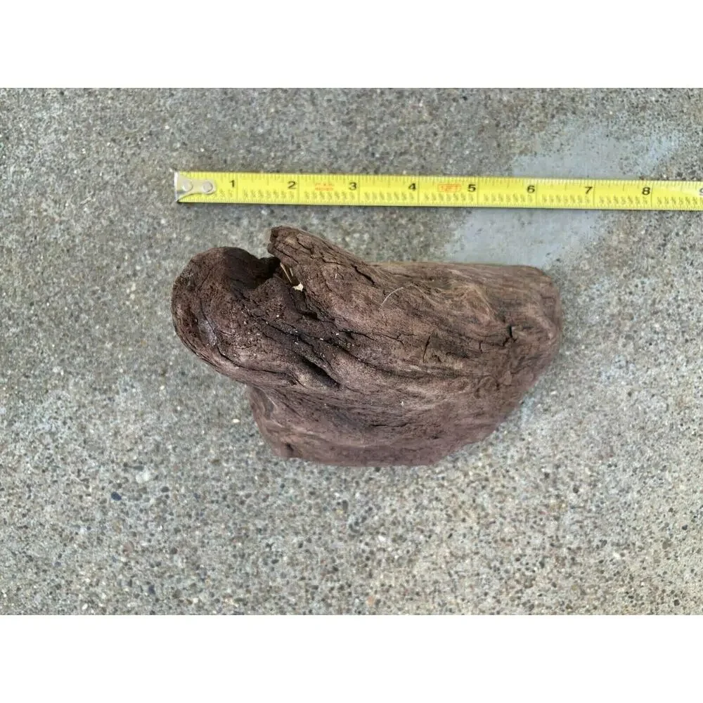 Ohio River Driftwood 6.5